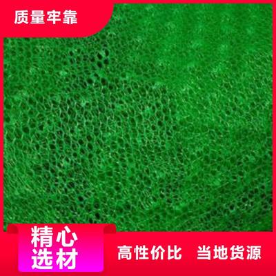 鋼塑土工格柵 現代土木工程的加固利器